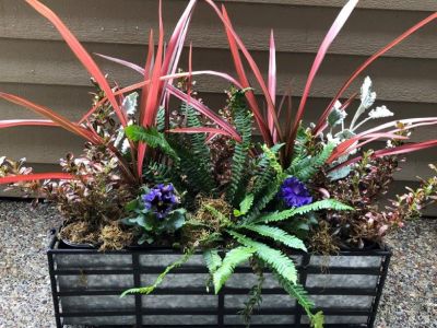 Metal Planter Box with Springtime Plants