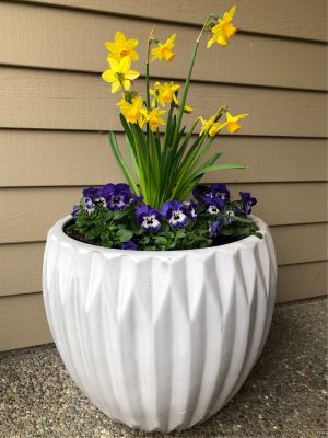 White Pottery Planter