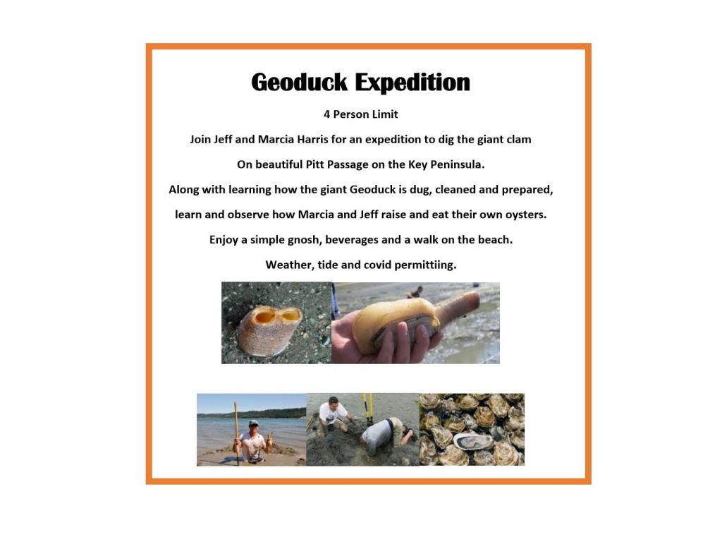 Geoduck Expedition on the Beach!