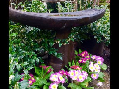 Beautiful Bird Bath