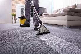 $100 Carpet and/or Furniture Cleaning