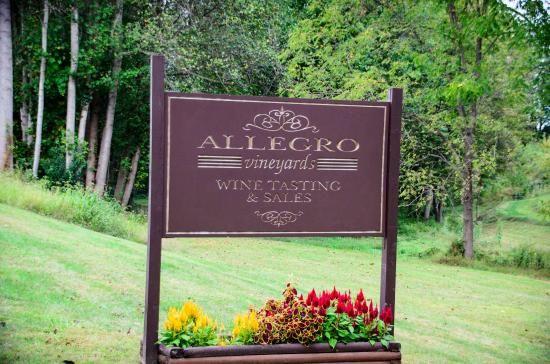 Wine Tasting for 4 at Allegro Winery