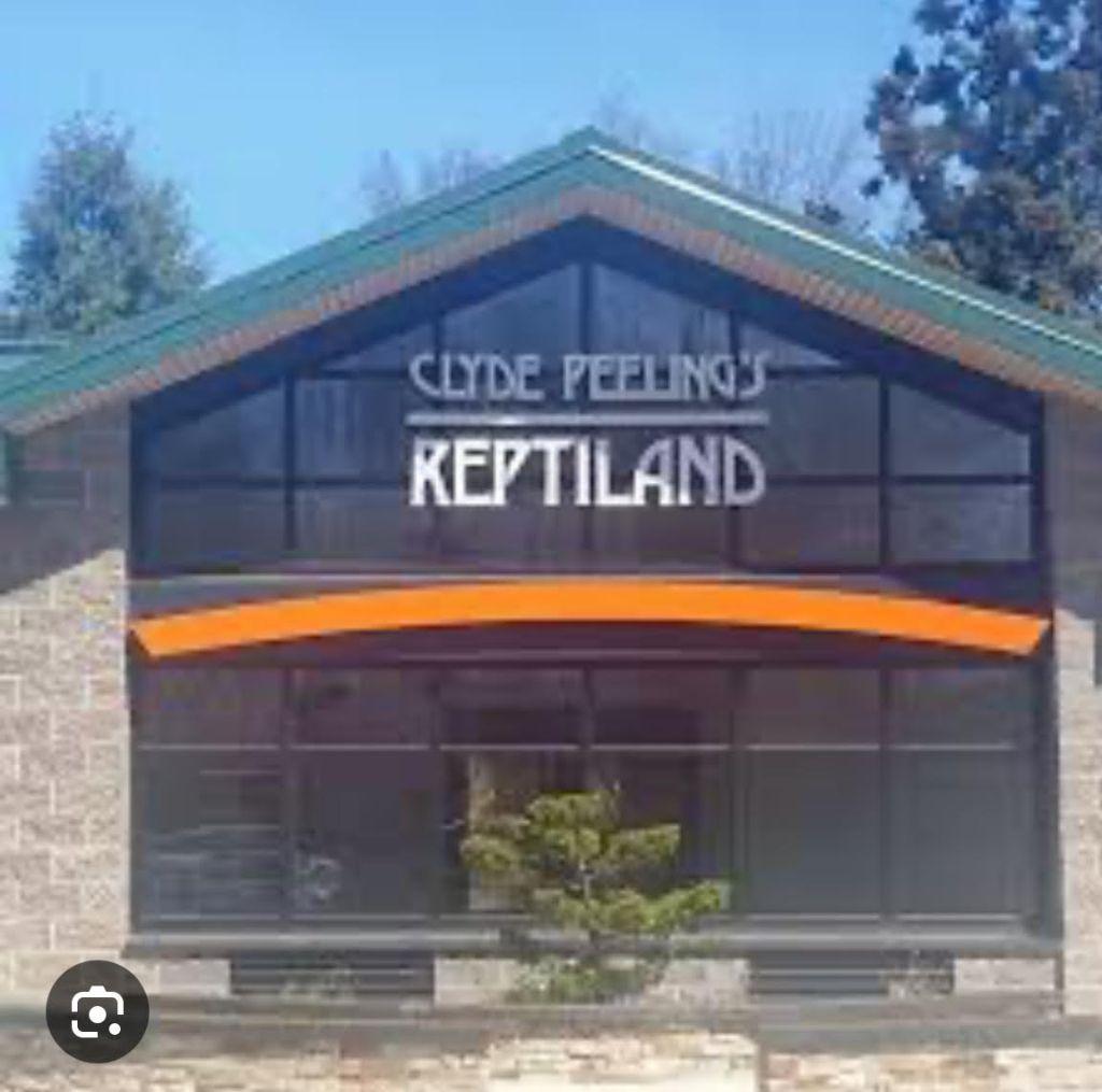 Free Admission for One Child (with paying adult) to ...