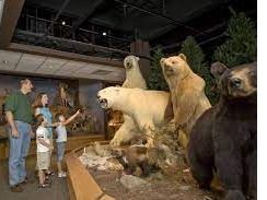 Oakes Museum of Natural History Family Admission #2