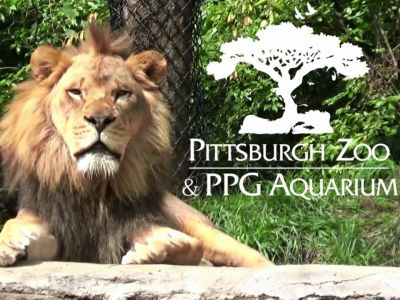Pittsburgh Zoo and PPG Aquarium tickets