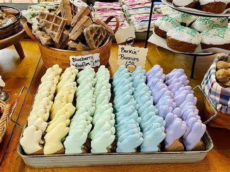 Doggie Delights $50 Gift Card