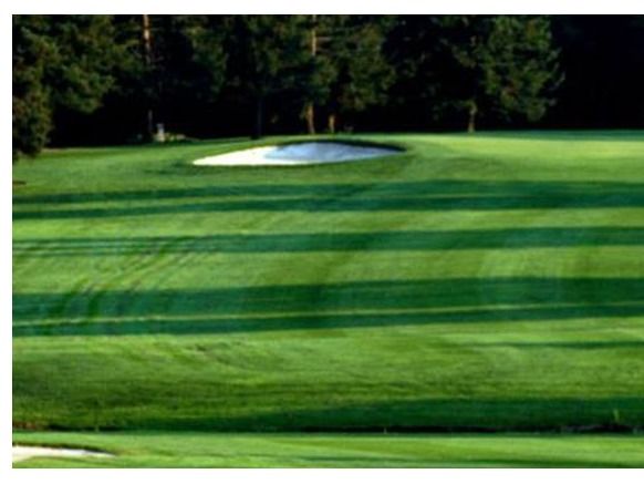 Manada Golf Club 4 Greens Fees with Carts