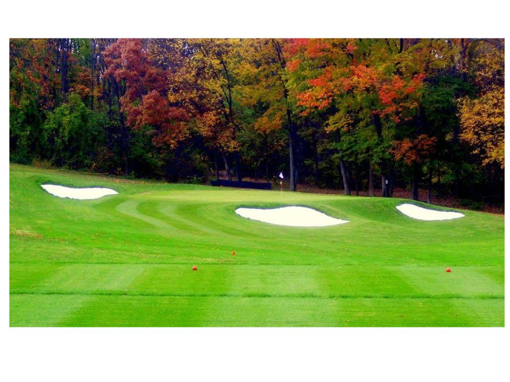 Briarwood Golf Club 4 Greens Fees with Cart