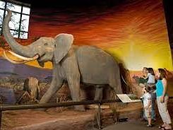 Oakes Museum of Natural History Pass #2