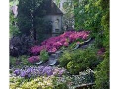 Winterthur General Admission Passes (2)
