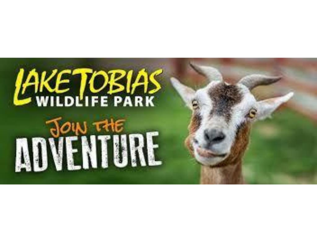 Lake Tobias Adventure 2 Thrill Pack Passes