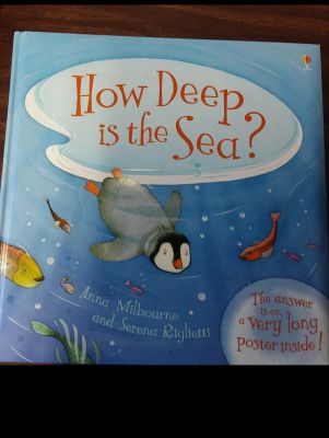 How Deep is the Sea Usborne Book