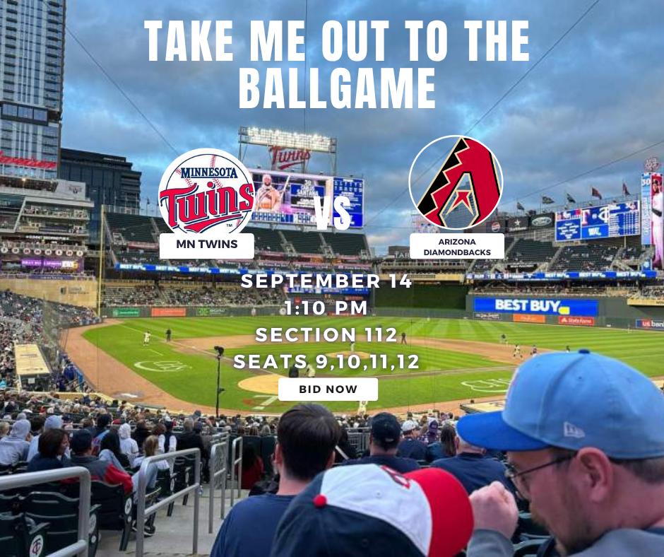 Take Me Out to the Ballgame – Minnesota Twins