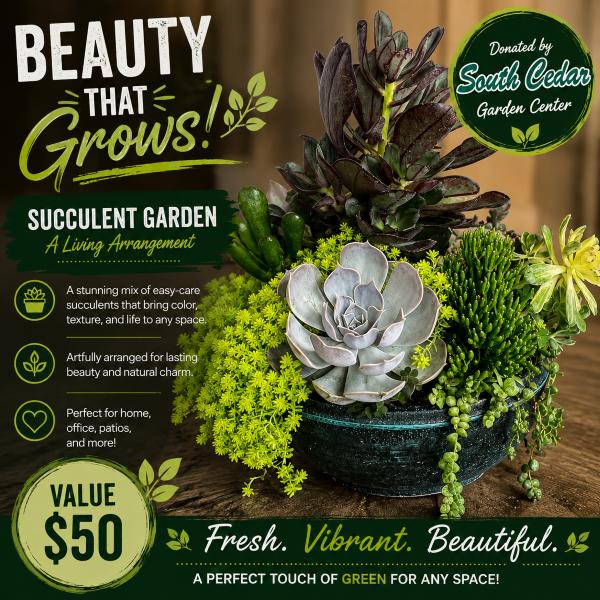 Beauty That Grows – Succulent Garden