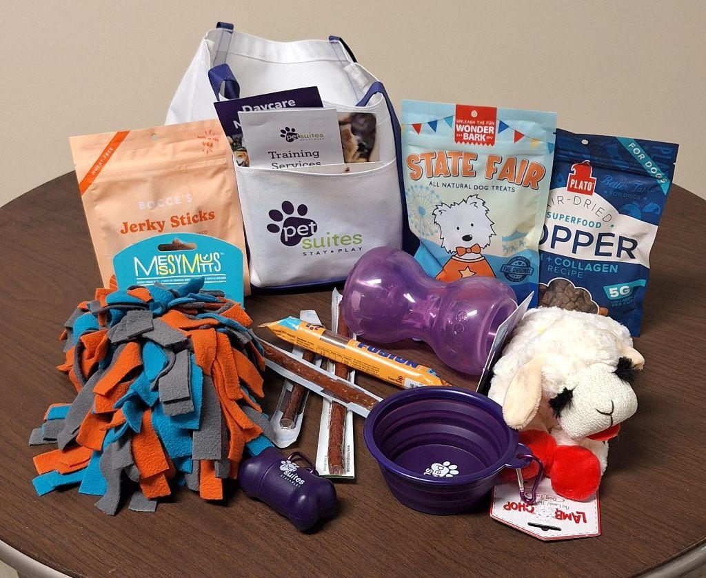 Paws & Play: Doggie Delight Basket