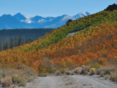 Fall colors on 395 Photograph