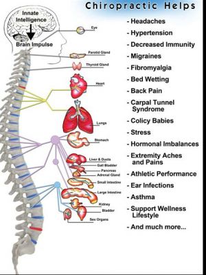 Chiropractic Treatment