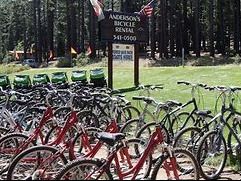 Two Half Day Bike Rentals and Lunch