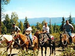 Guided Trail Ride