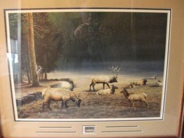 Rocky Mtn. Elk Foundation Print by Dave Samuelson
