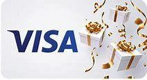 $100 VISA Gift Card