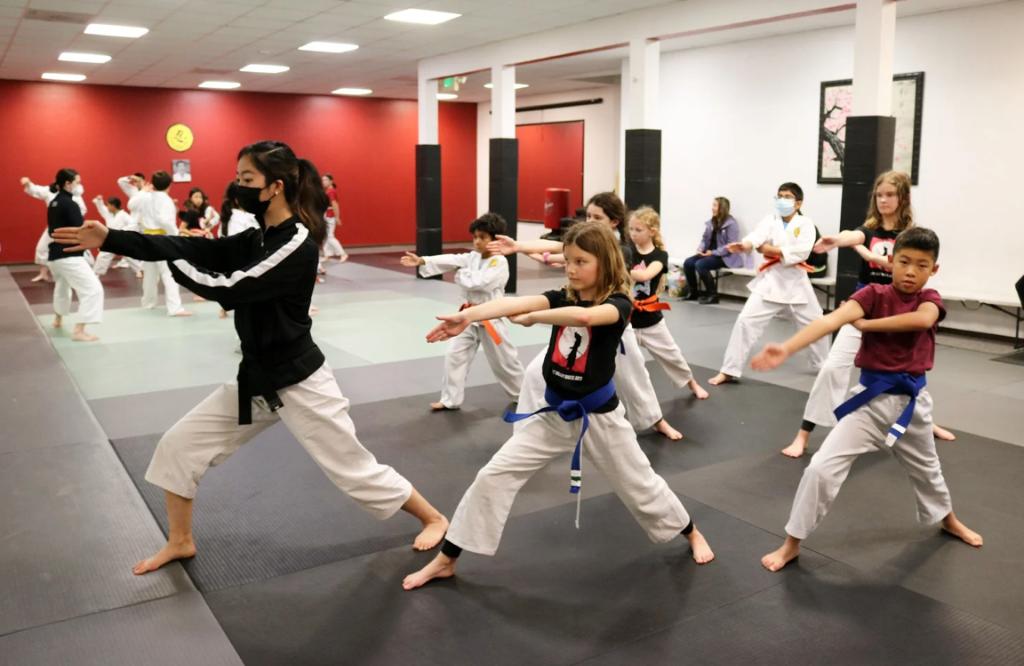 One-Month Dojo Membership – West Valley Martia...