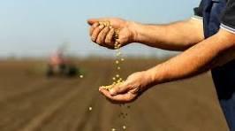 FWF: Sip and Sew (Sunday, 3/8)