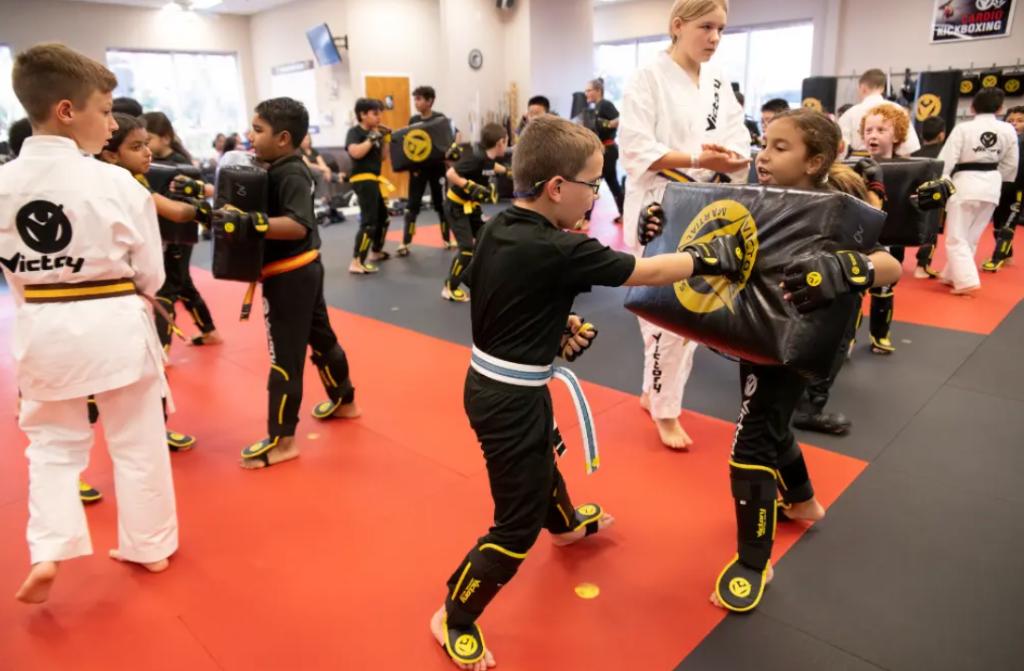 Victory Martial Arts Ultimate Birthday Bash & Tr...