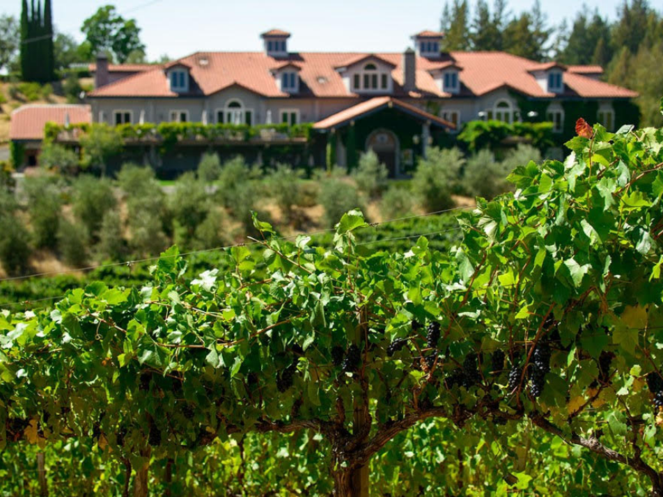 A Winery Tour and Tasting for 10 People at Byington ...