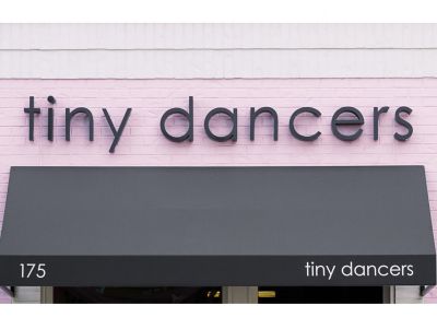 Tiny Dancers Fairy Tale Birthday party - $50 off