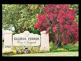 VIP Tour and Tasting at Gloria Ferrer