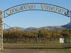 Visit Concannon Vineyard