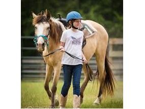 All Seasons Horse Riding - Riding Lesson