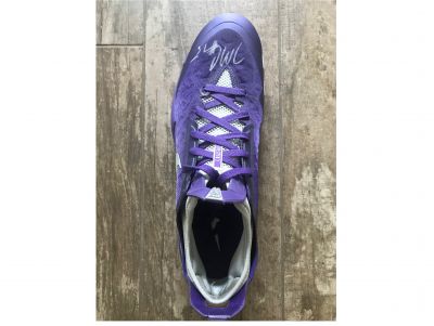 Boogie Cousins - Autographed Shoe