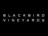 Blackbird Vineyards - Portfolio Tasting for 4 in Napa