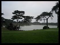 Golf for Four at TPC Harding Park