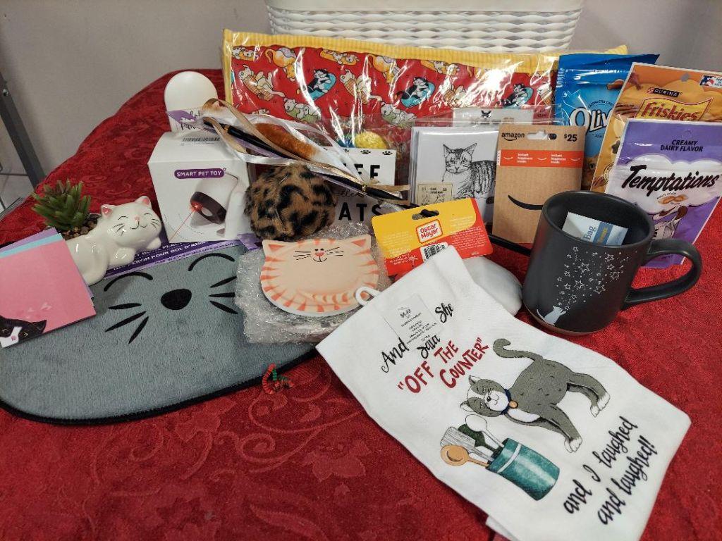 Cat and Christmas Fun