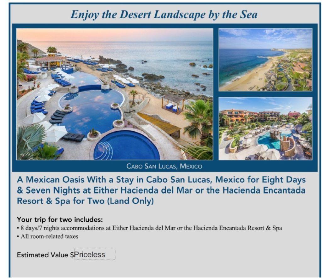 Enjoy the Desert Landscape by the Sea