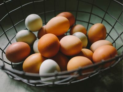 Fresh Organic Eggs Delivered to Your Home