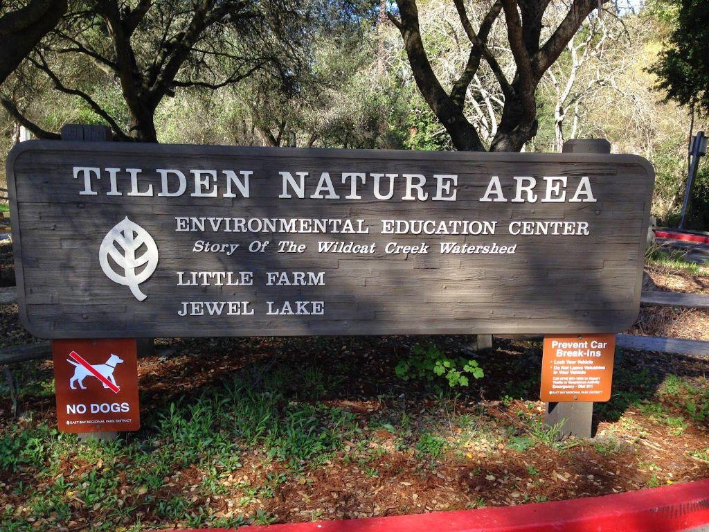 Scavenger Hunt & Picnic for All Ages in Tilden P...