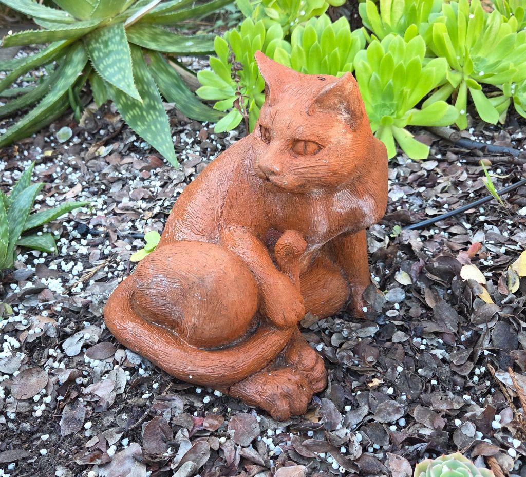 Garden Cat by Anne Fischer