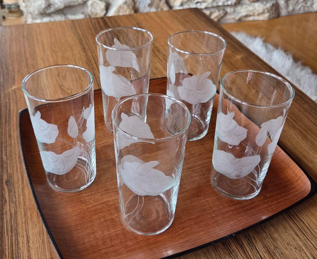 Five Glasses with Etchings of Anthurium Flowers