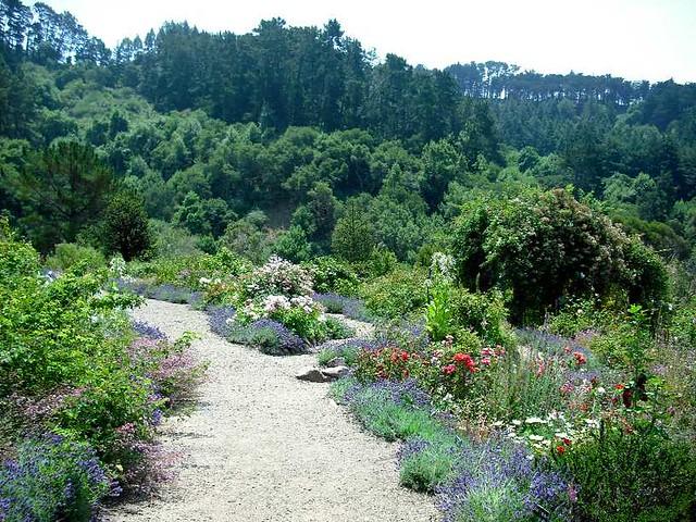 Guided Visit & Picnic at the UC Botanical Garden