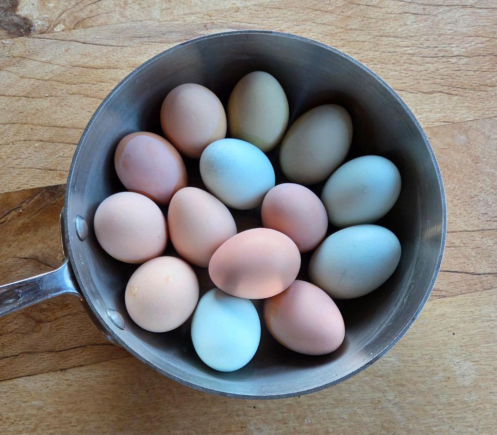 Fresh Organic Eggs Delivered to Your Home (VIDEO!)