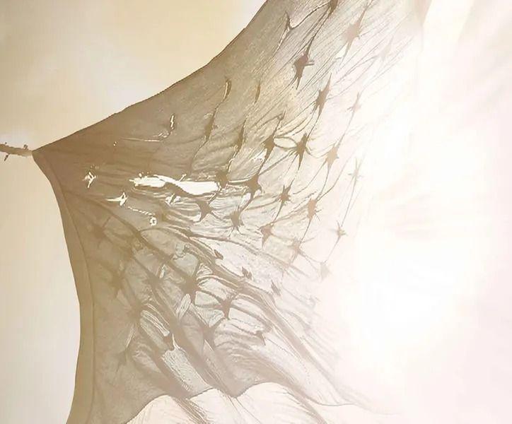 Berkeley Repertory Theater - Two Tickets