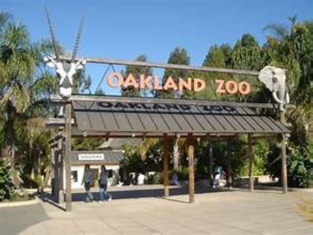 Oakland Zoo Fun 4-Pack Pass
