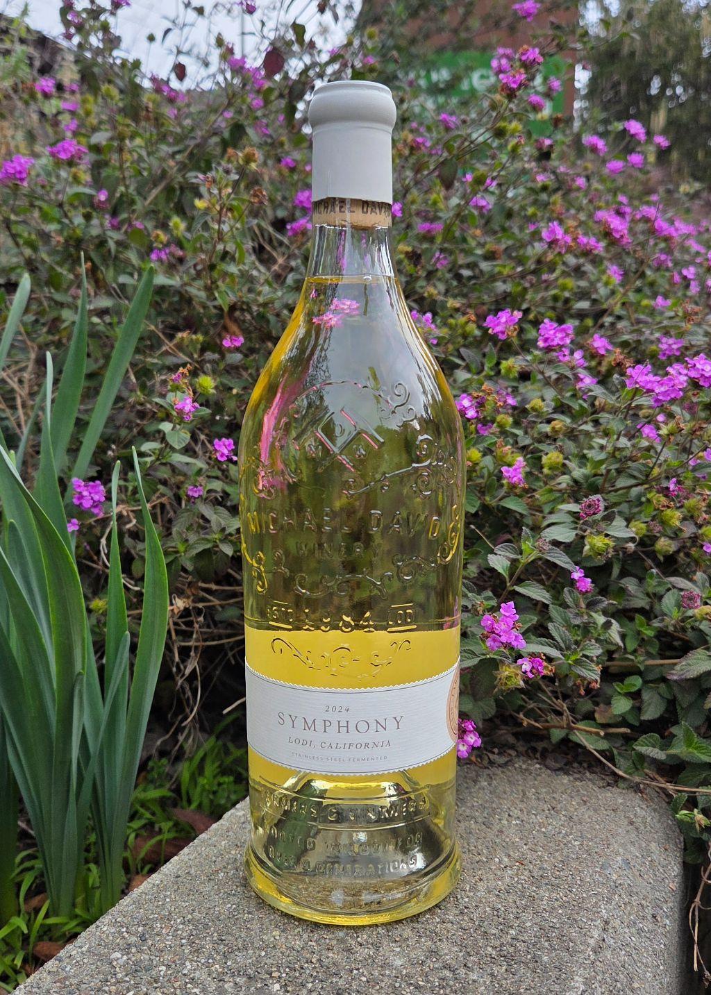 Michael David Symphony, 2024