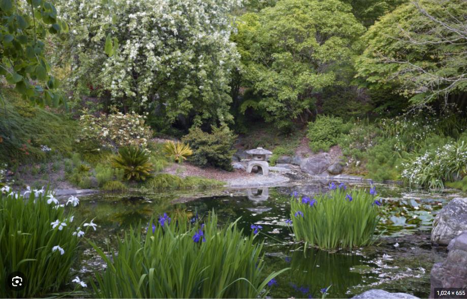 UC Botanical Garden 1-Year Family Plus Membership