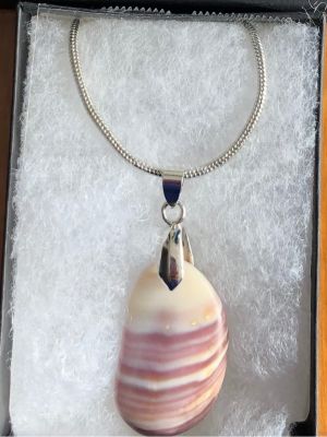 Seashell Pendant Necklace with Stainless Steel Chain