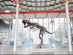 Four General Admission Tickets to the California Academy of Sciences